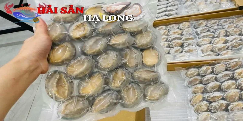 Giới thiệu về bào ngư đông lạnh chuẩn