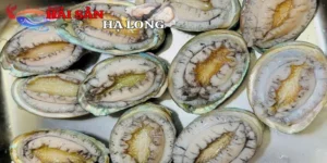 Ứng dụng trong ẩm thực từ bào ngư đông lạnh