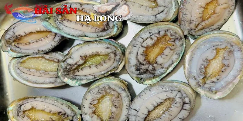 Ứng dụng trong ẩm thực từ bào ngư đông lạnh