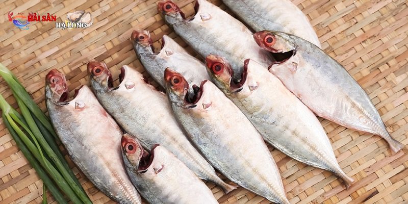 Đây là thực phẩm phù hợp với người đang ăn kiêng