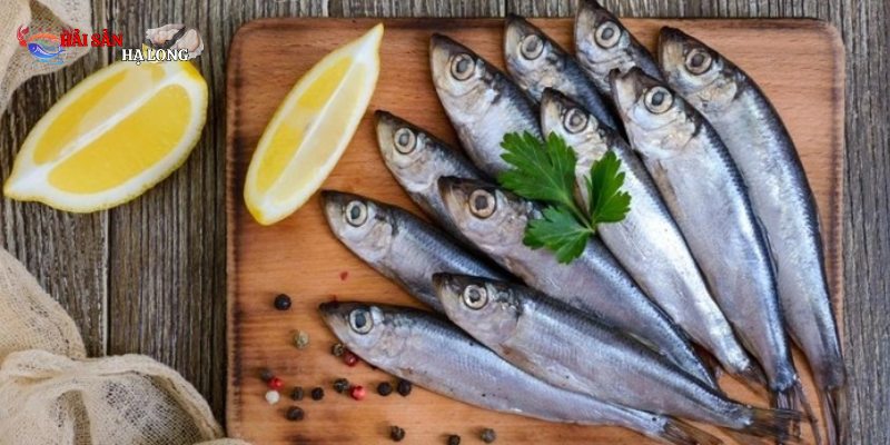 Loài cá này chứa vitamin D và vitamin B12