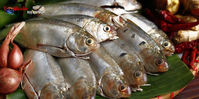 Nướng nguyên con là một trong những cách chế biến đơn giản