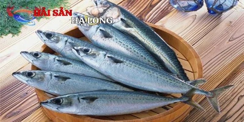 Giới thiệu về cá nục hoa cắt khúc