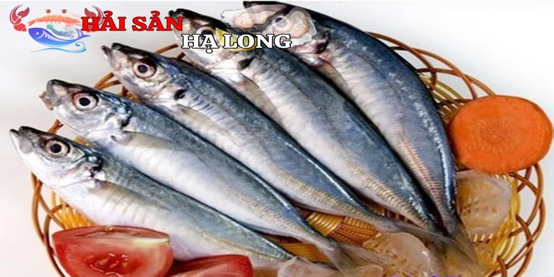 Dinh dưỡng có trong cá nục hoa cắt khúc