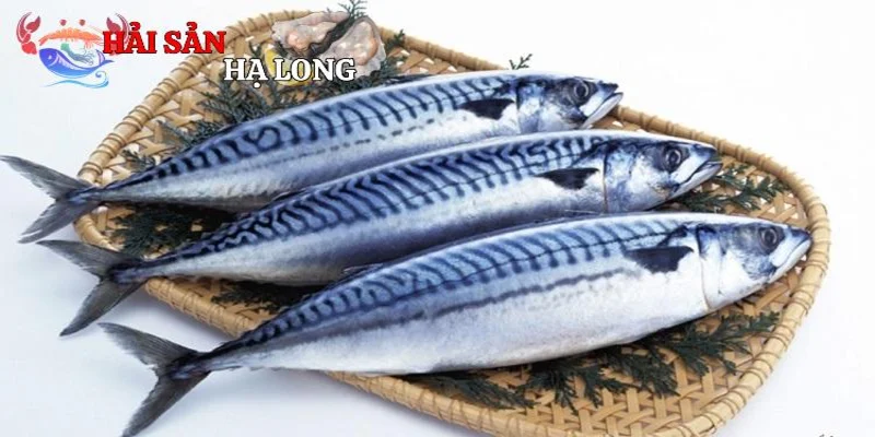Cách bảo quản và chọn mua cá nục hoa cắt khúc