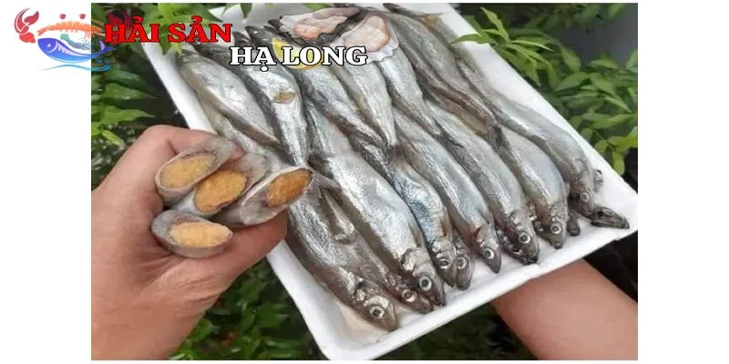 Giá trị dinh dưỡng vượt trội của cá trứng