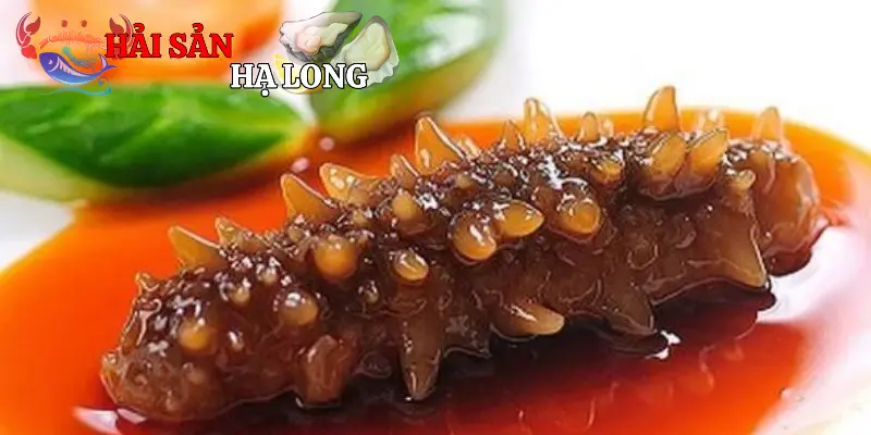 Những đặc điểm sinh học và phân loại hải sâm gai thường gặp