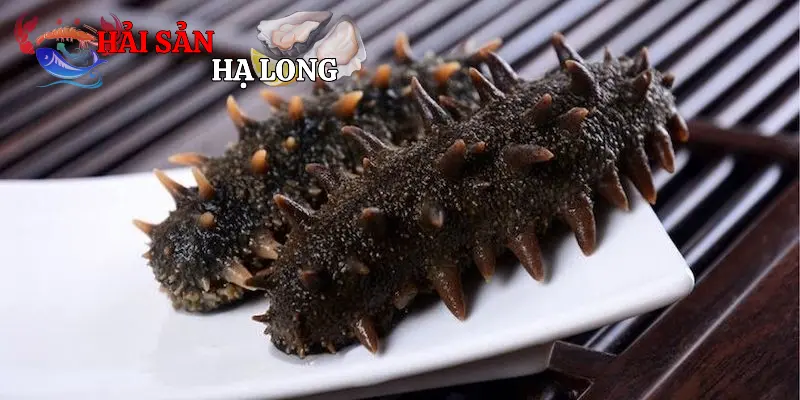 Những món ăn ngon từ hải sâm không phải ai cũng biết