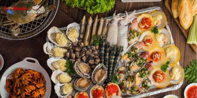 Cá bớp là loại hải sản giàu dinh dưỡng