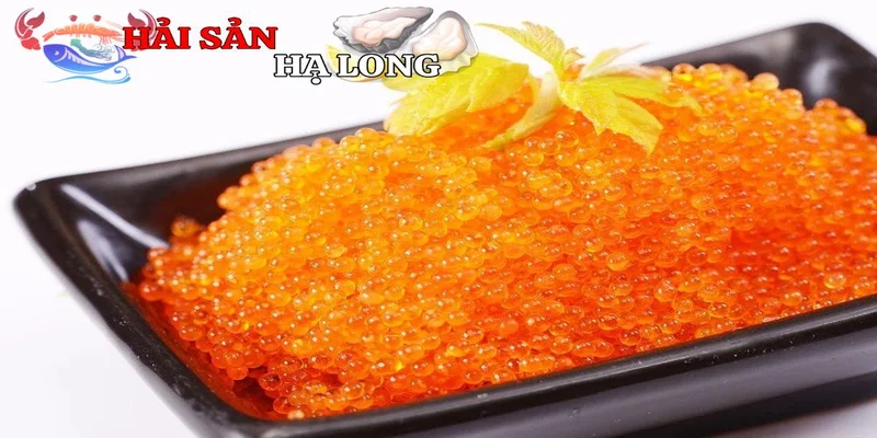 Trứng cá chuồn và hành trình từ đại dương đến bàn ăn