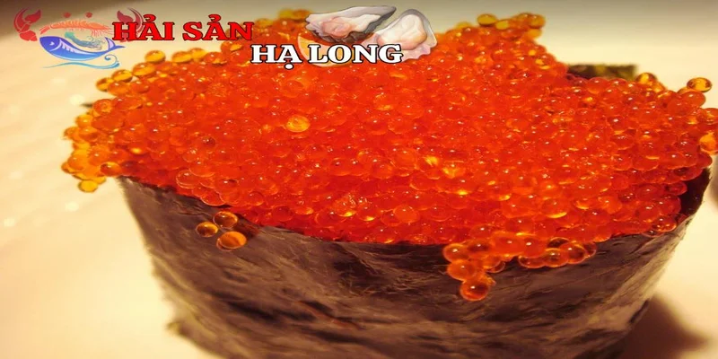 Quy trình bảo quản trứng tôm đông lạnh đạt chuẩn